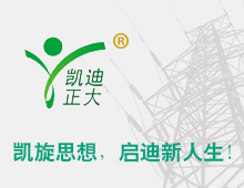 閥型避雷器計數(shù)器如何檢測？回顧國家絕緣子避雷器質量監(jiān)督檢驗中心檢驗報告